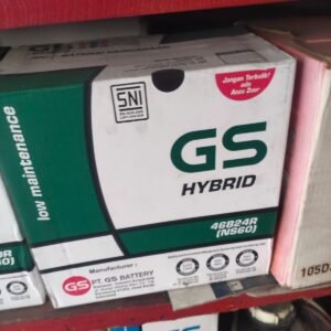 GS HIBRID